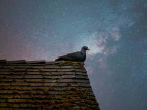 Panasonic Lumix Lenses 12-32mm, 42.5mm, and 45-150mm