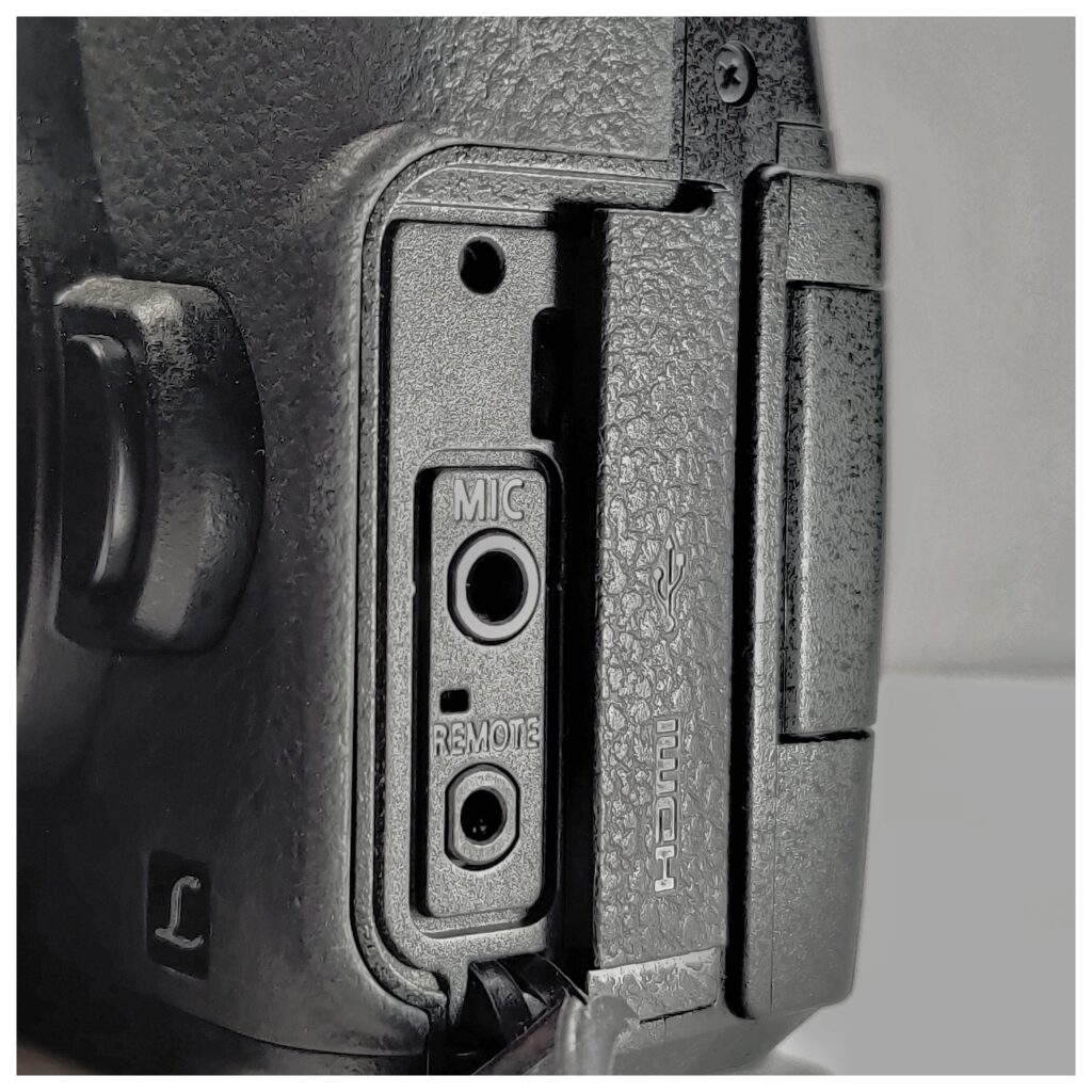 Panasonic Lumix G85 vs. GX85 (with a twist)