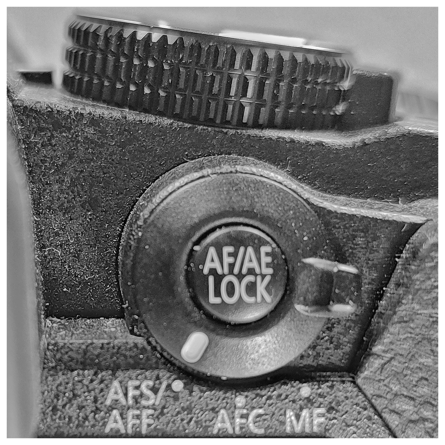 Panasonic Lumix G85 vs. GX85 (with a twist)