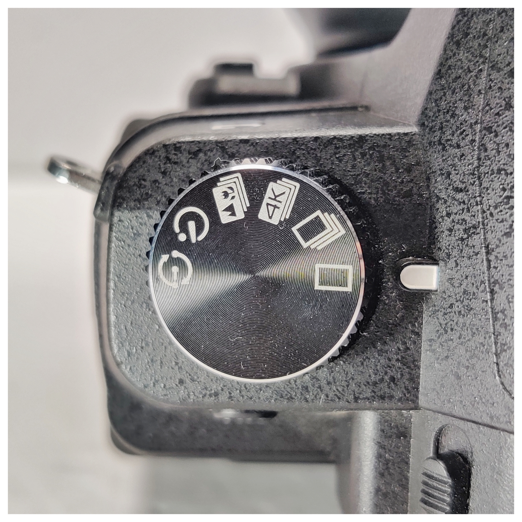 Panasonic Lumix G85 vs. GX85 (with a twist)