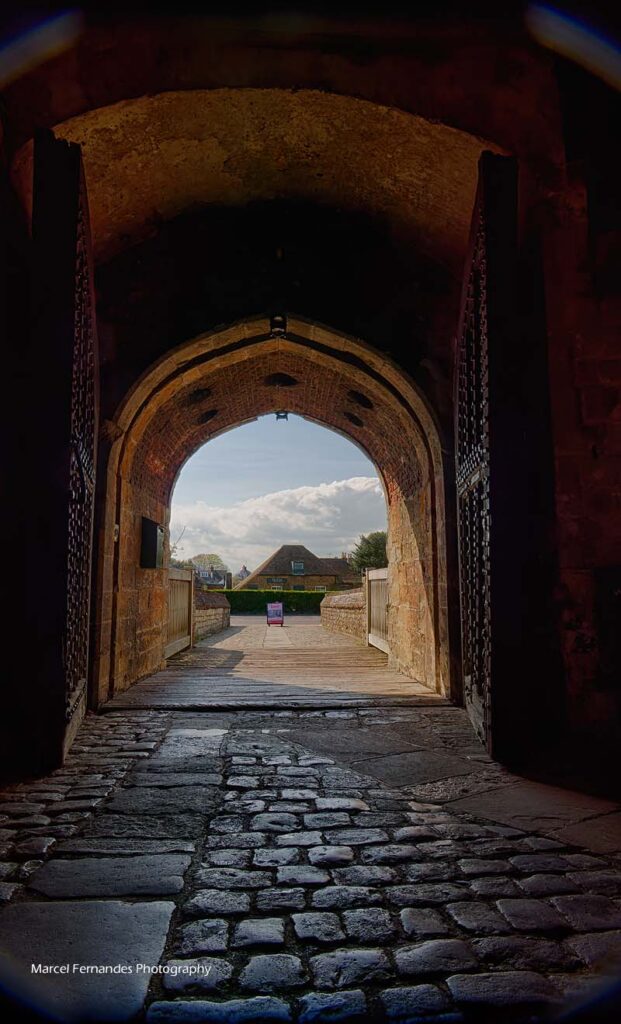 Marcel Fernandes Photography