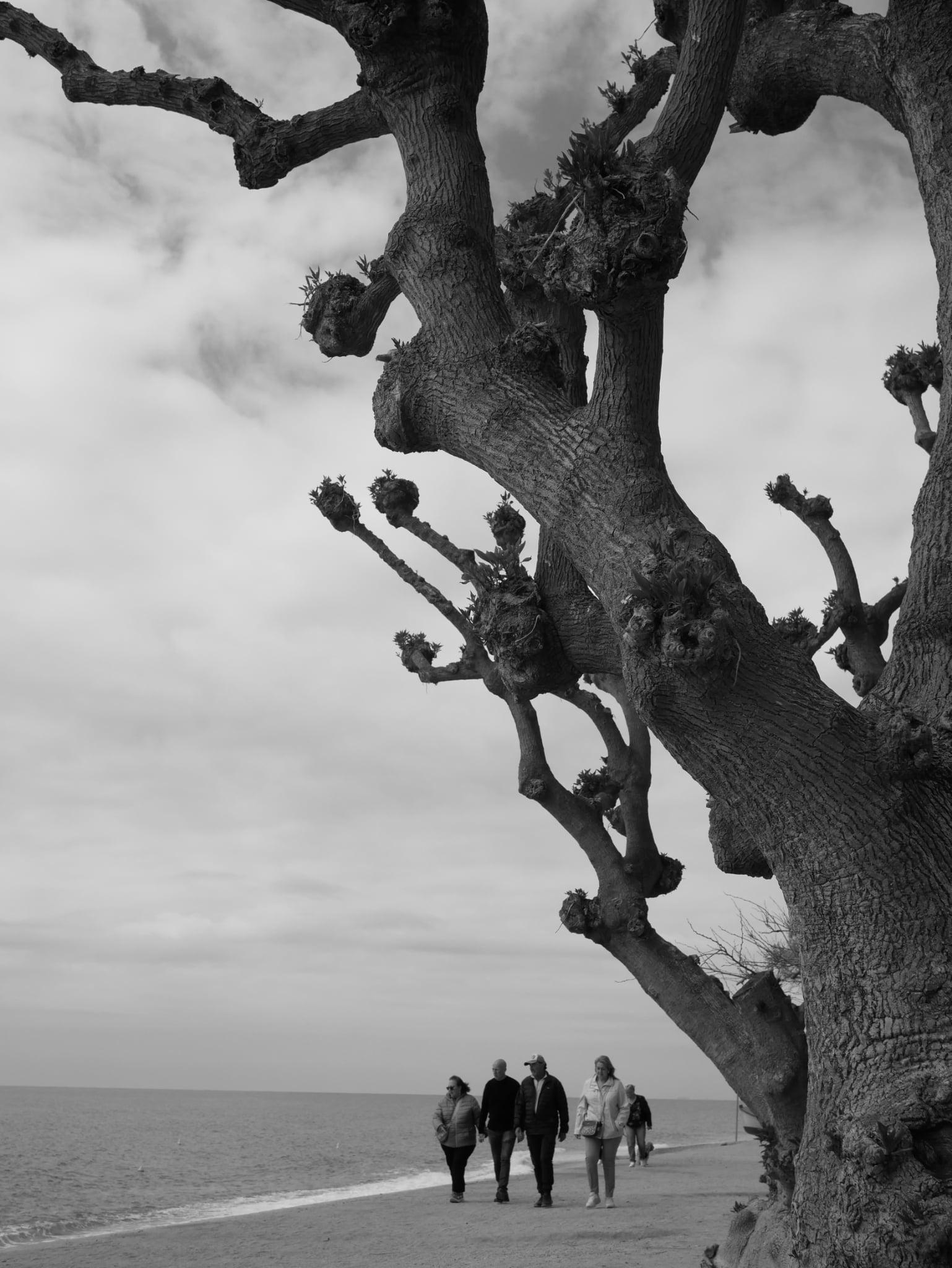 Photographer’s Spotlight: An Interview with Dirk Nusink