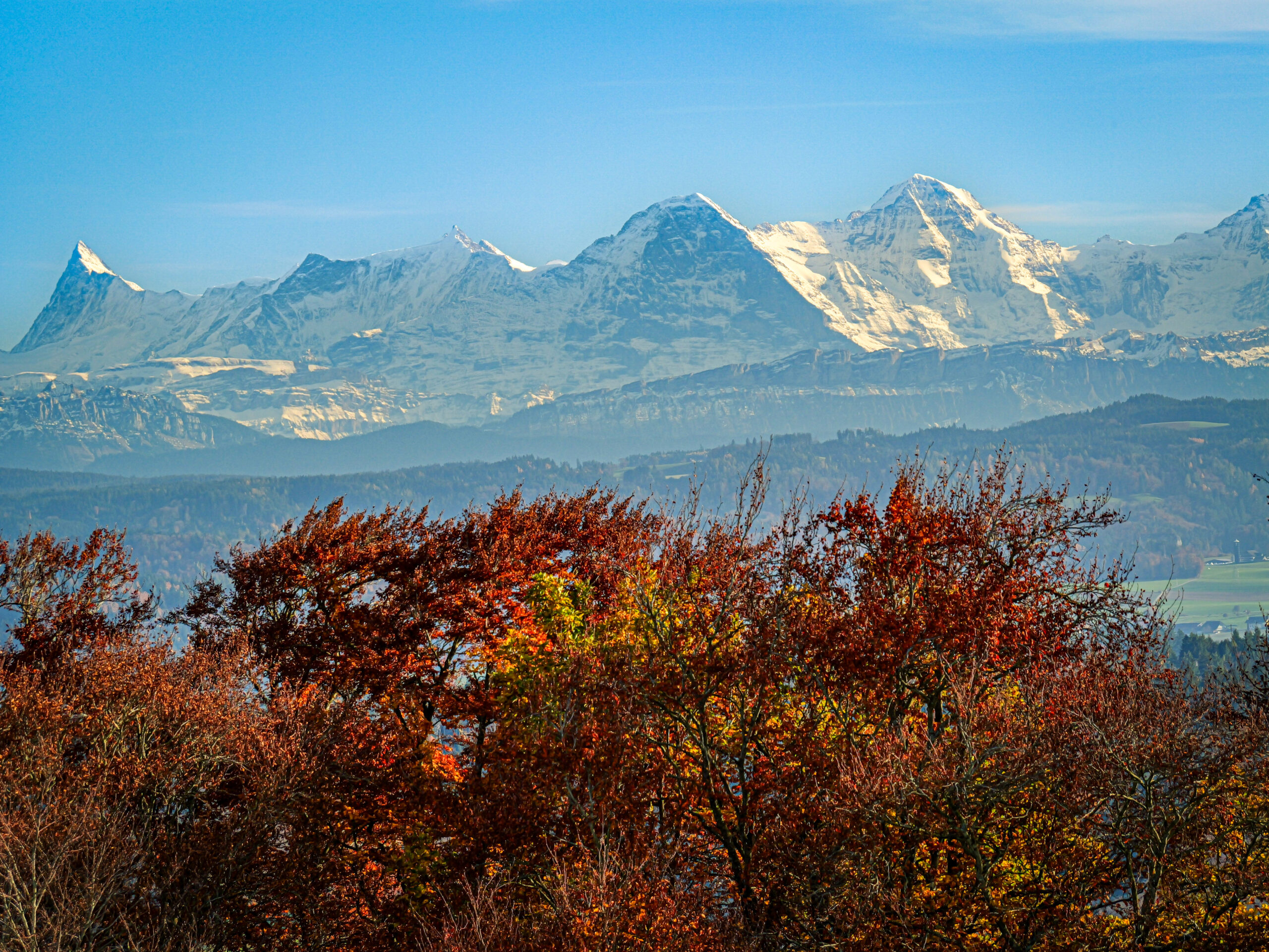 From Scissors to Sensors: Kurt Morgenthaler on a Life in Art and Photography