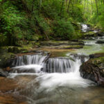Photo 1 - Carson Creek in the southern Appalachians © Bill Webb