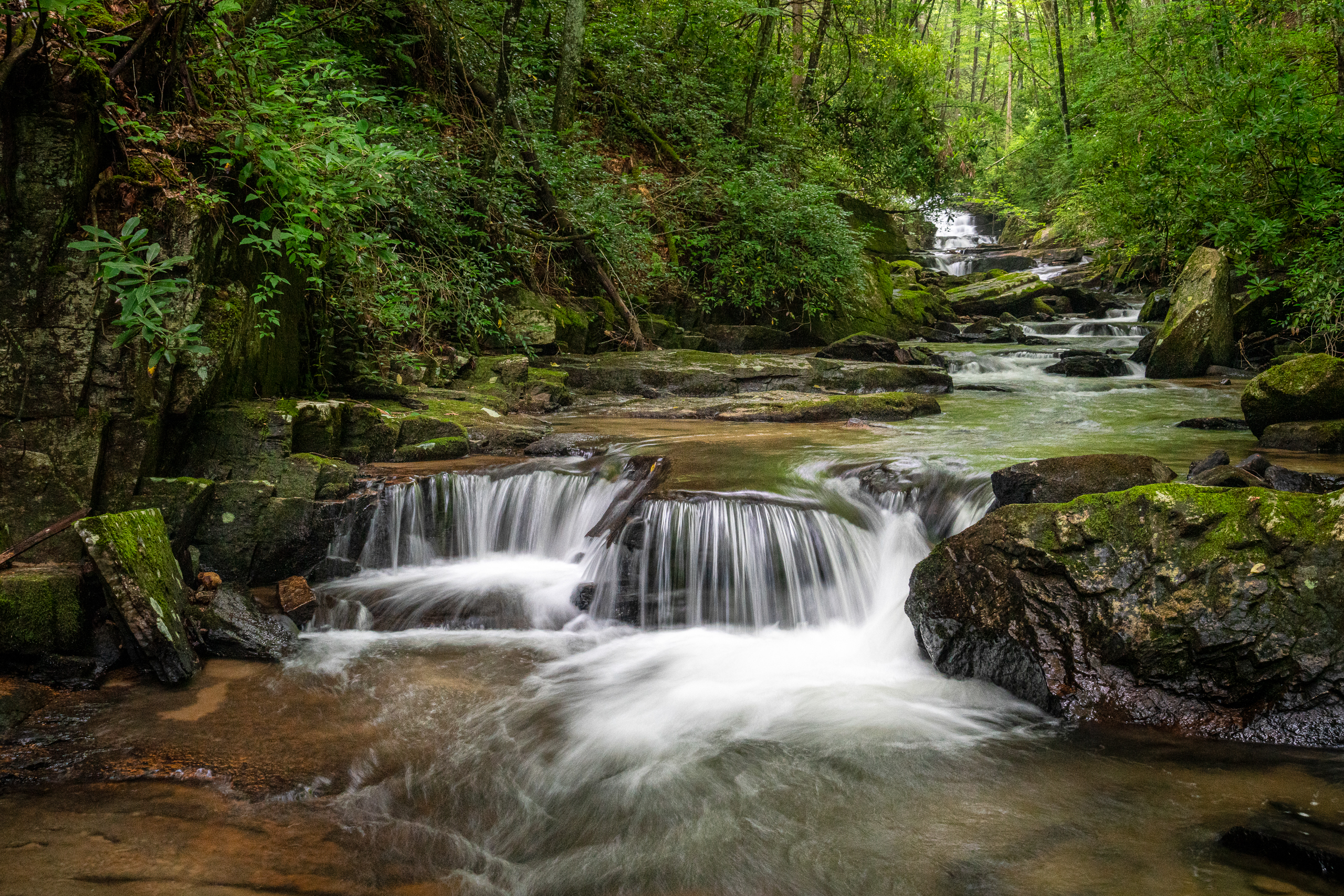Windows of Wonder: Bill Webb’s Art of Photographing and Crafting Christmas Cards